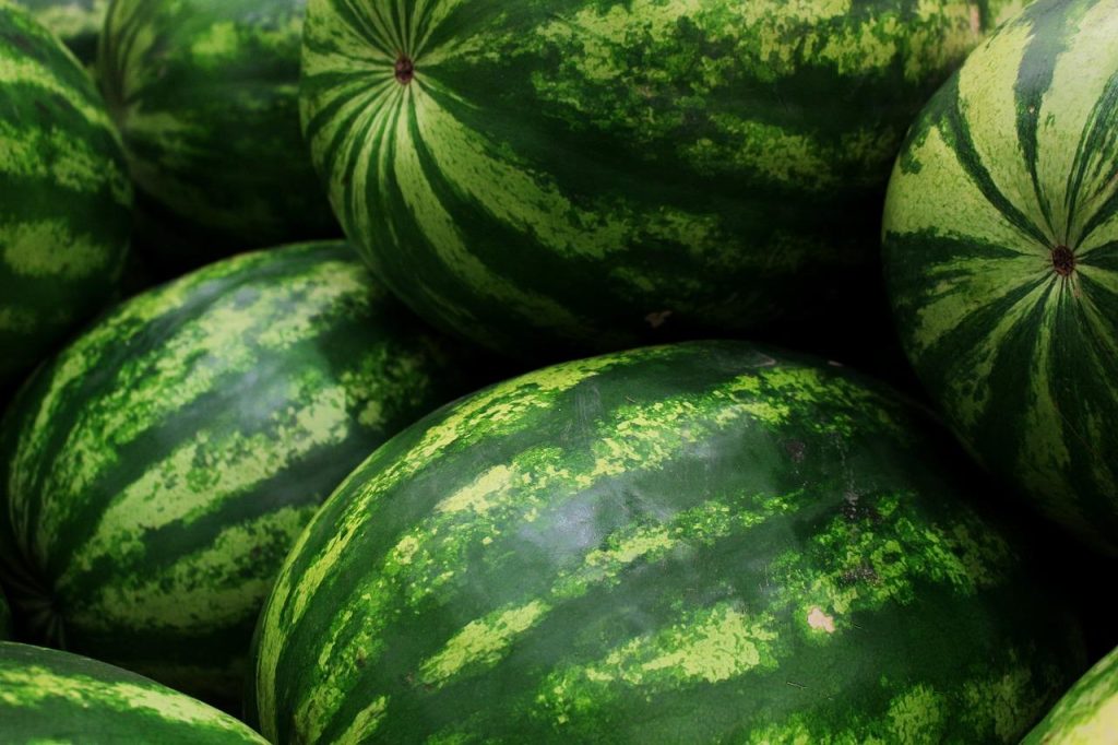 Verzameling van natuurlijke producten dagelijkse leven inclusief zout, superfoods en biologische supplementen